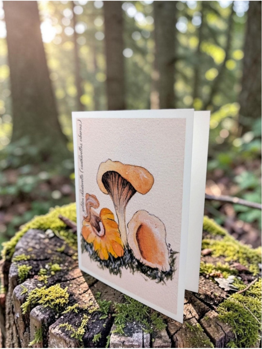 12 Watercolor Notecards Mushroom Series 4.25 x 5.5 - Picture 5 of 8